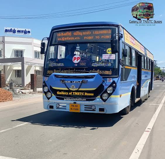 bus